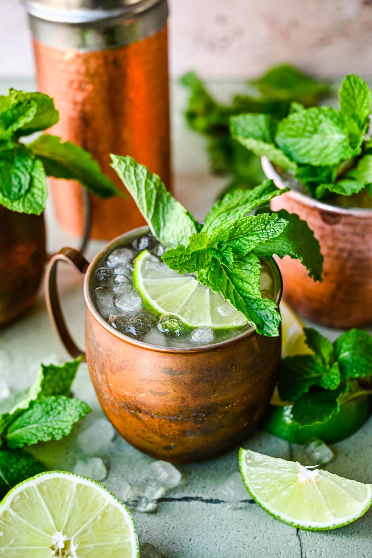 Do-it-Yourself Moscow Mule Kit — Caramelized