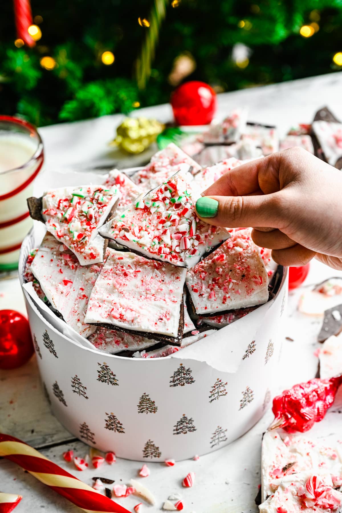 Close up view of homemade peppermint bark in christmas tree box.