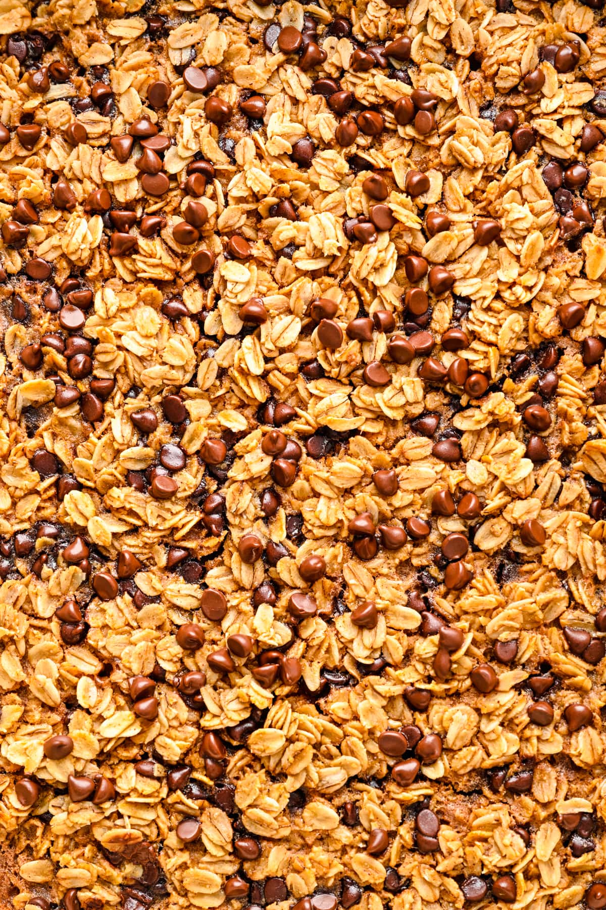 Close up overhead view of baked chocolate chip oats in pan.