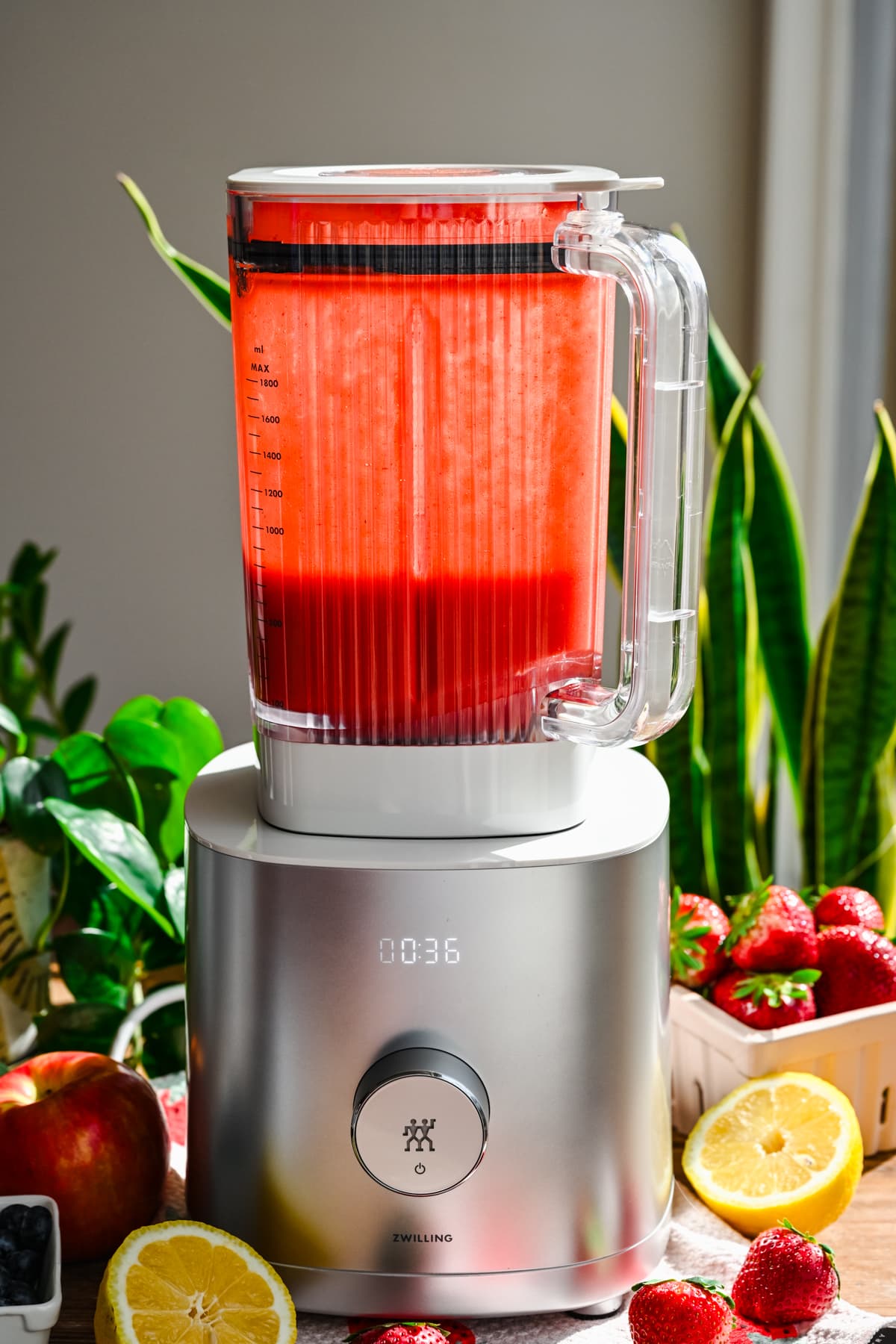 Side view of strawberry mixture in Zwilling blender. 