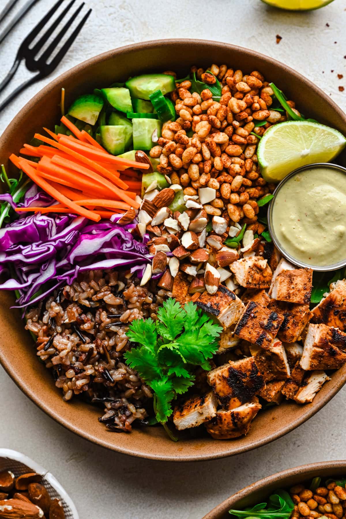 Close up view of finished crispy rice bowl, with chicken, wild rice and veggies.