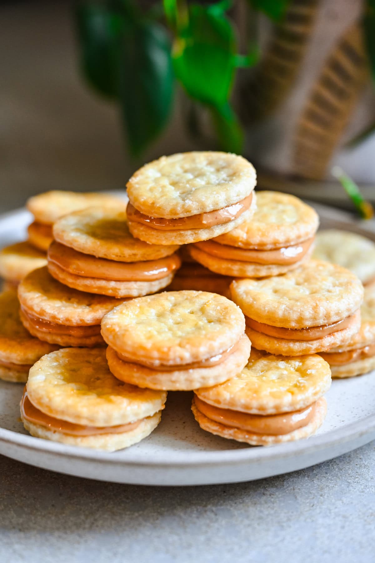 Front view of ritz peanut butter sandwiches on a plate.