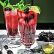 close up side view of blackberry mojito.