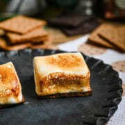 Marshmallow after being torched.
