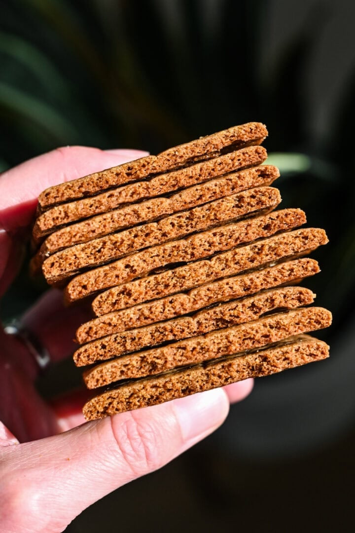 Stack of graham crackers held in hand.