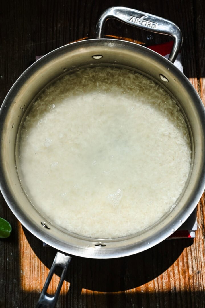Overhead view of rice before cooking.