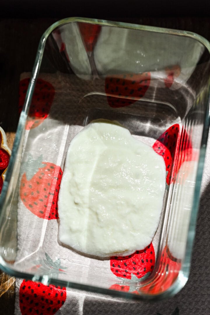 Adding starter yogurt to tupperware.