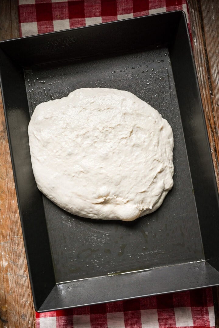 Overhead view of pizza dough before stretching to fit the pan.
