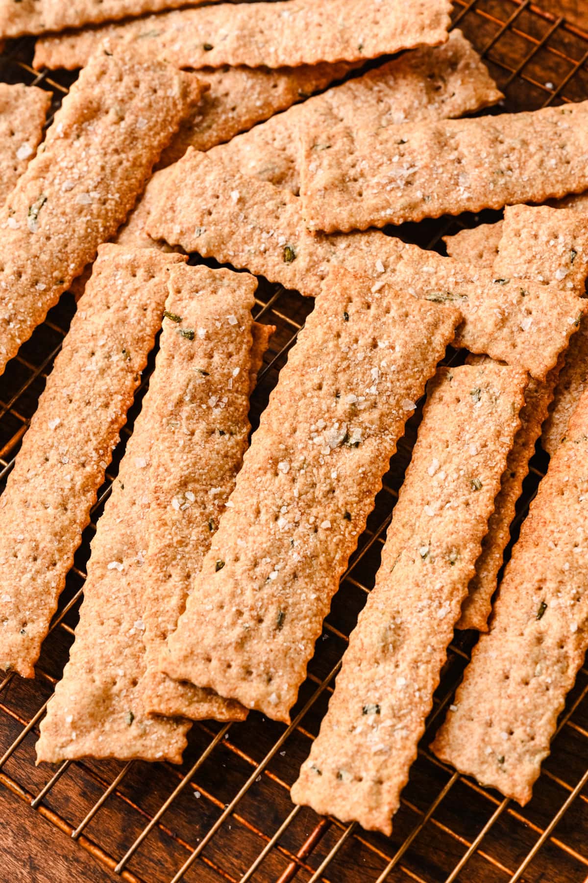 Crackers on a cooling rack close up.