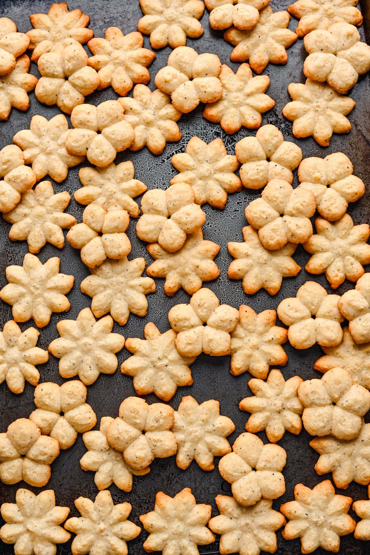 White Cheddar Parmesan Spritz crackers on a sheet pan.