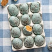 Overhead view of peanut butter Easter eggs that look like robin's eggs in egg container.