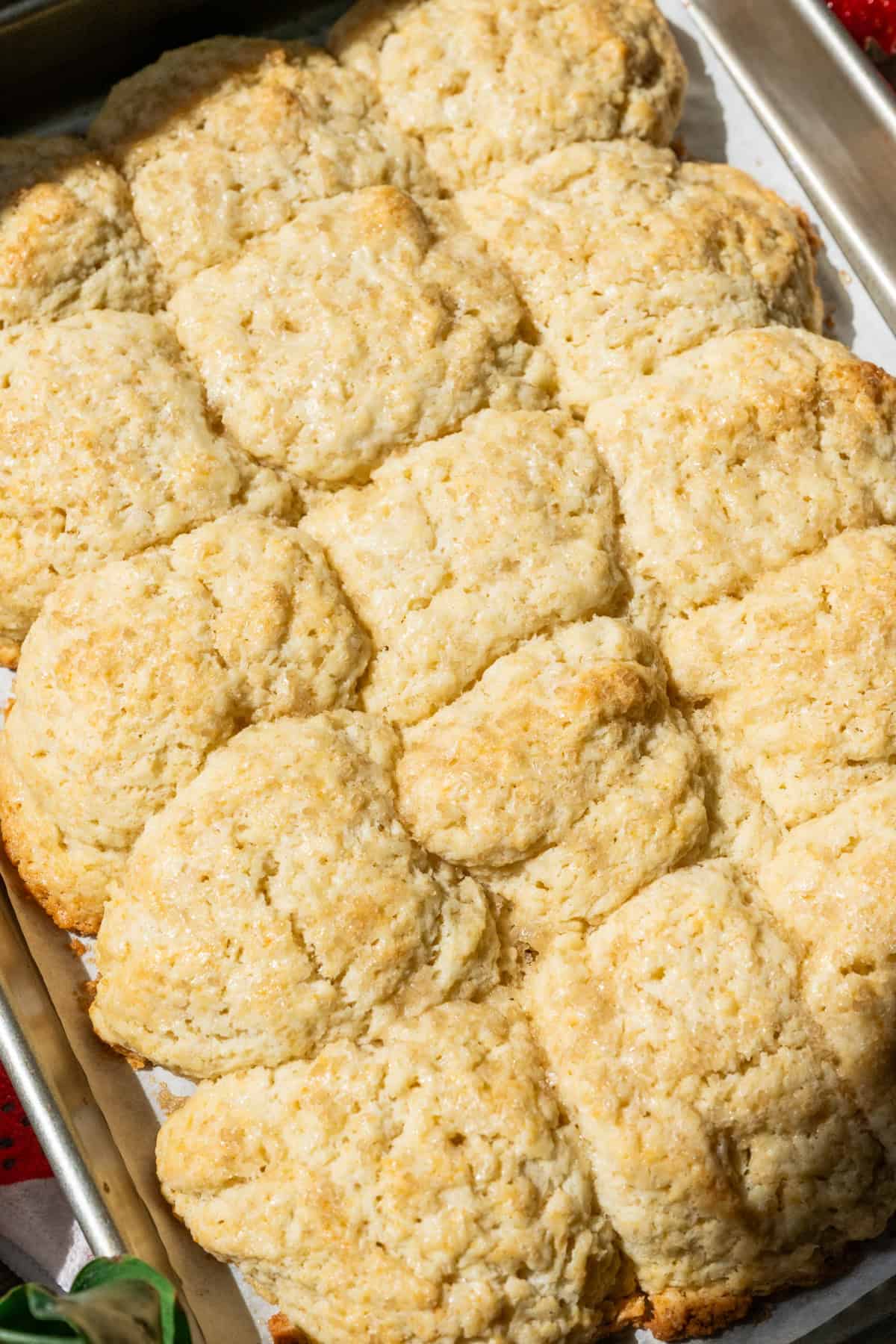 Baked biscuits on a sheet pan.