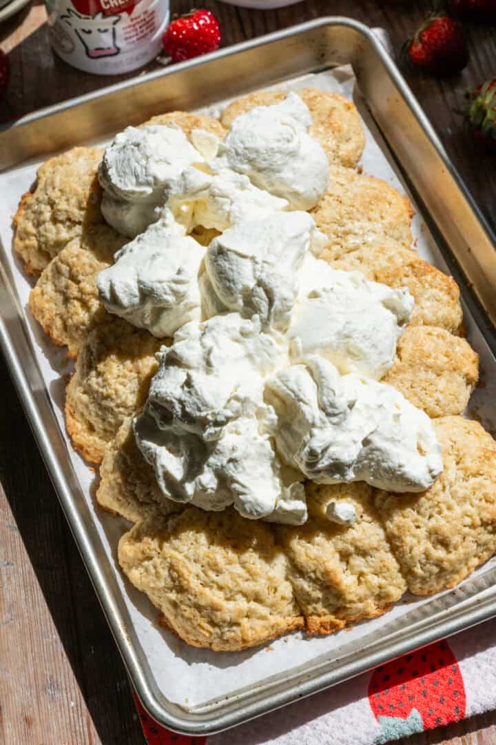 Whipped cream dolloped on top of baked biscuits.