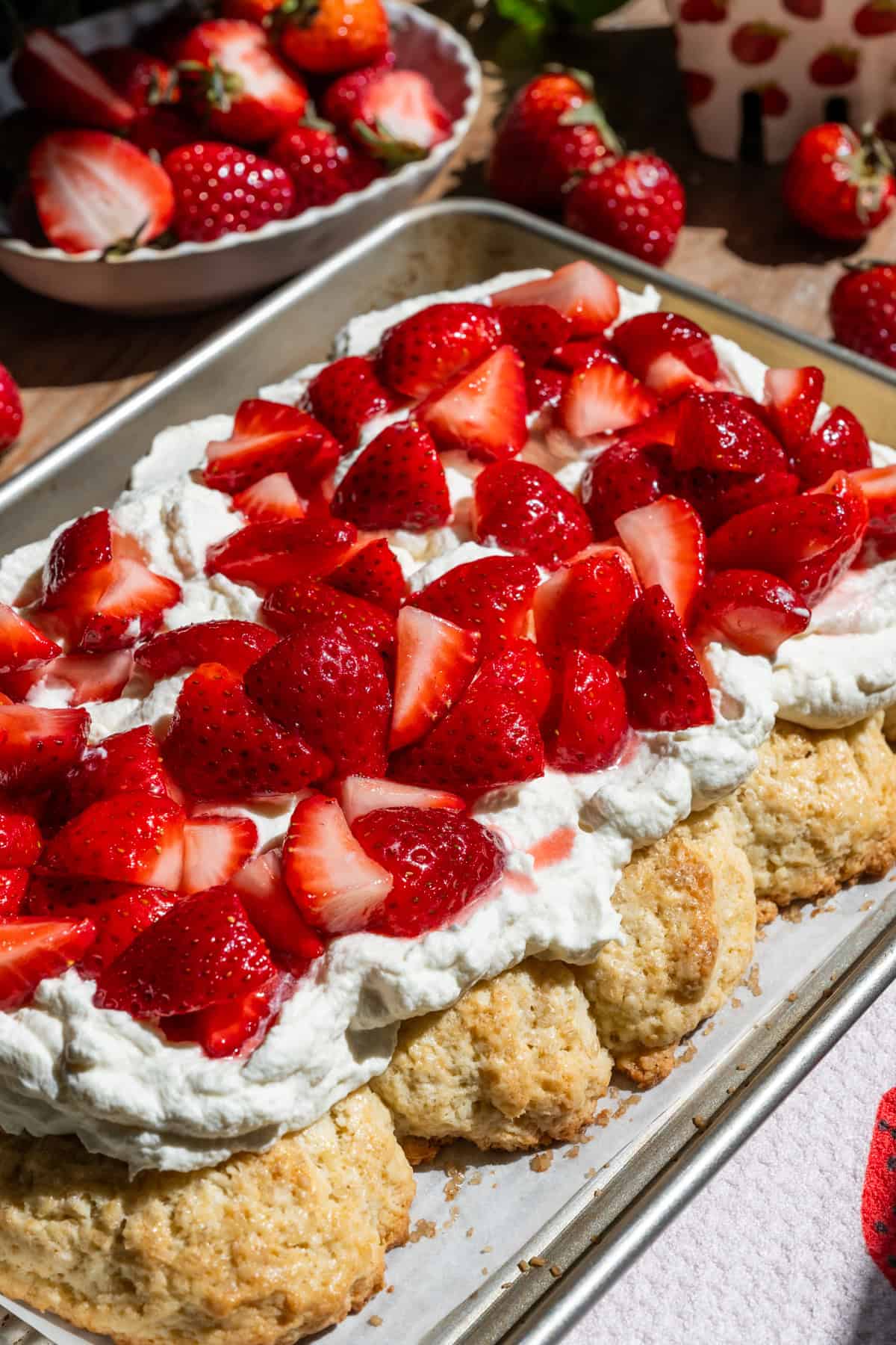 Close up side view of sheet pan strawberry shortcake.