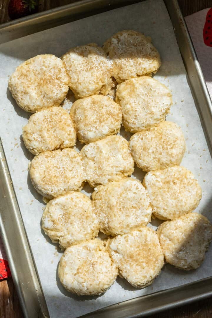 Biscuit base brushed with heavy cream and coarse sugar on a sheet pan before baking. 