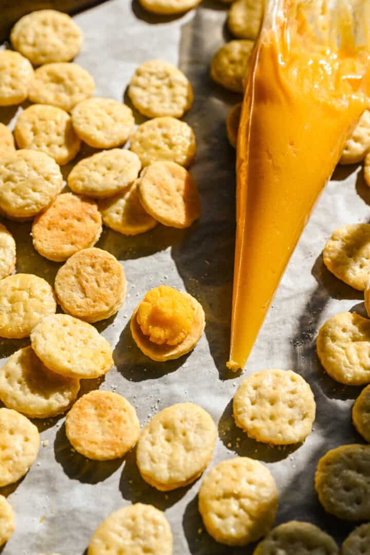 Filling a homemade ritz cracker with cheese spread in a piping bag.