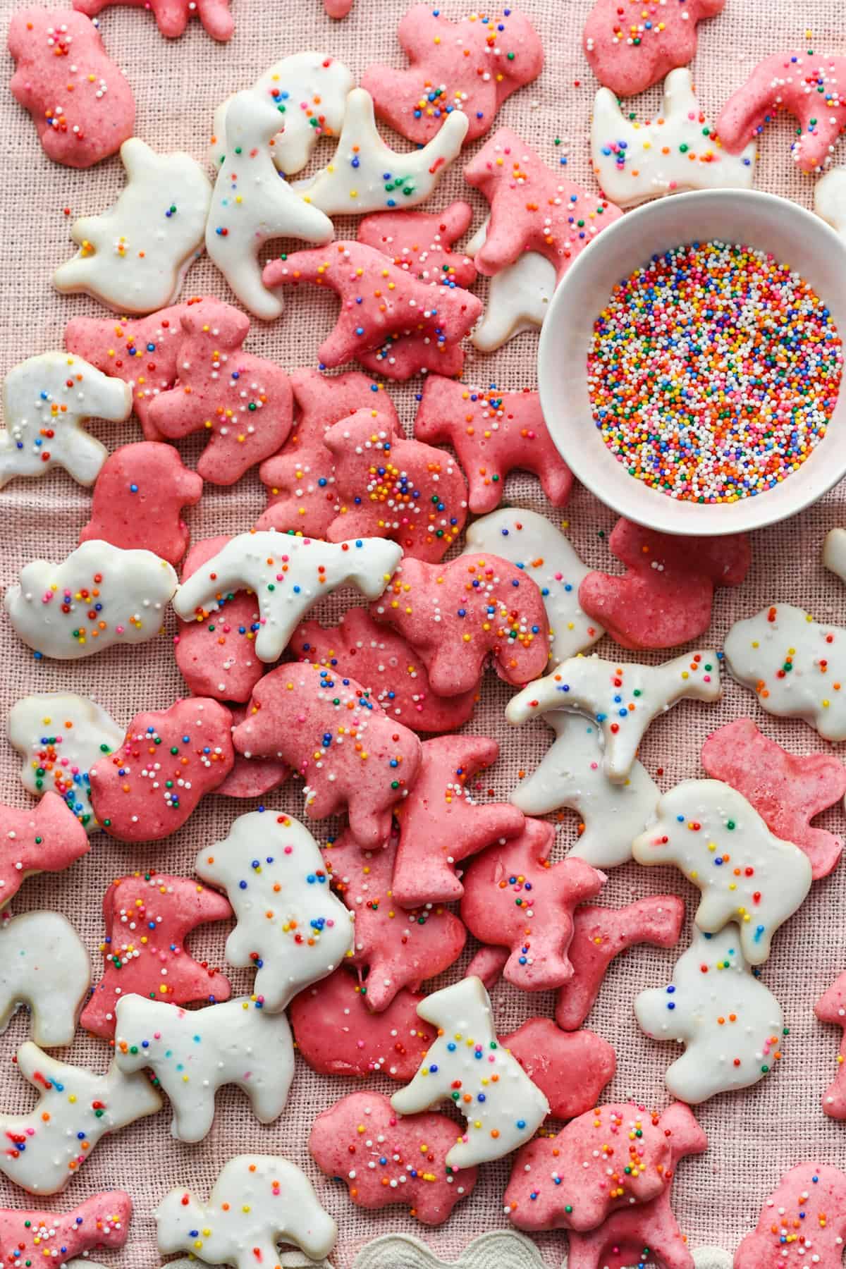 Overhead view of several animal cookies.