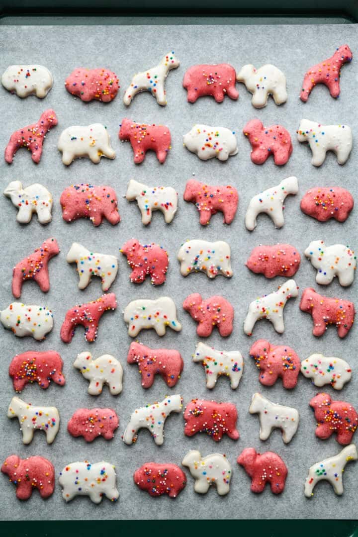 Overhead view of frosted animal cookies on a piece of parchment paper