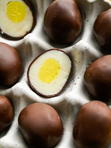 Overhead view of chocolate egg truffles in an egg container.