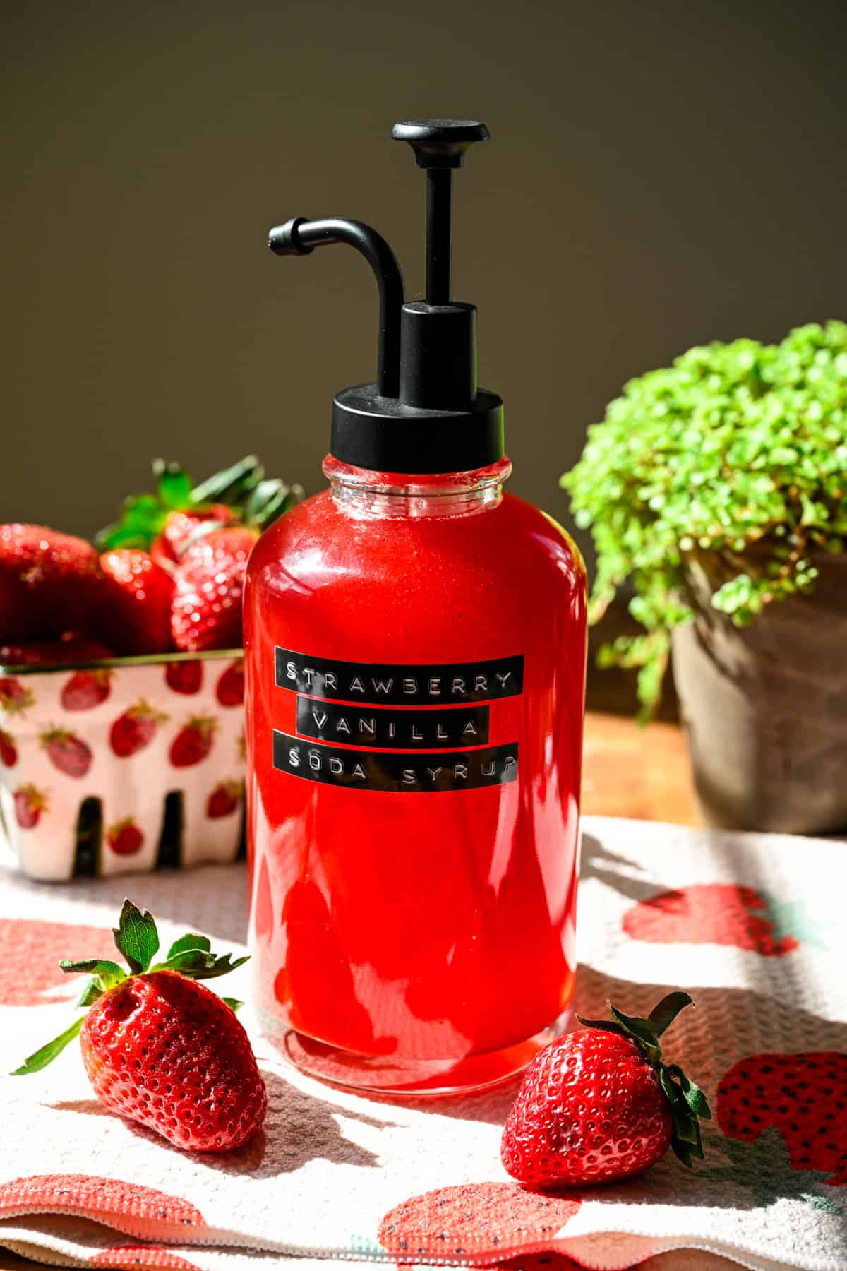 Front view of strawberry vanilla soda syrup in a pump bottle.
