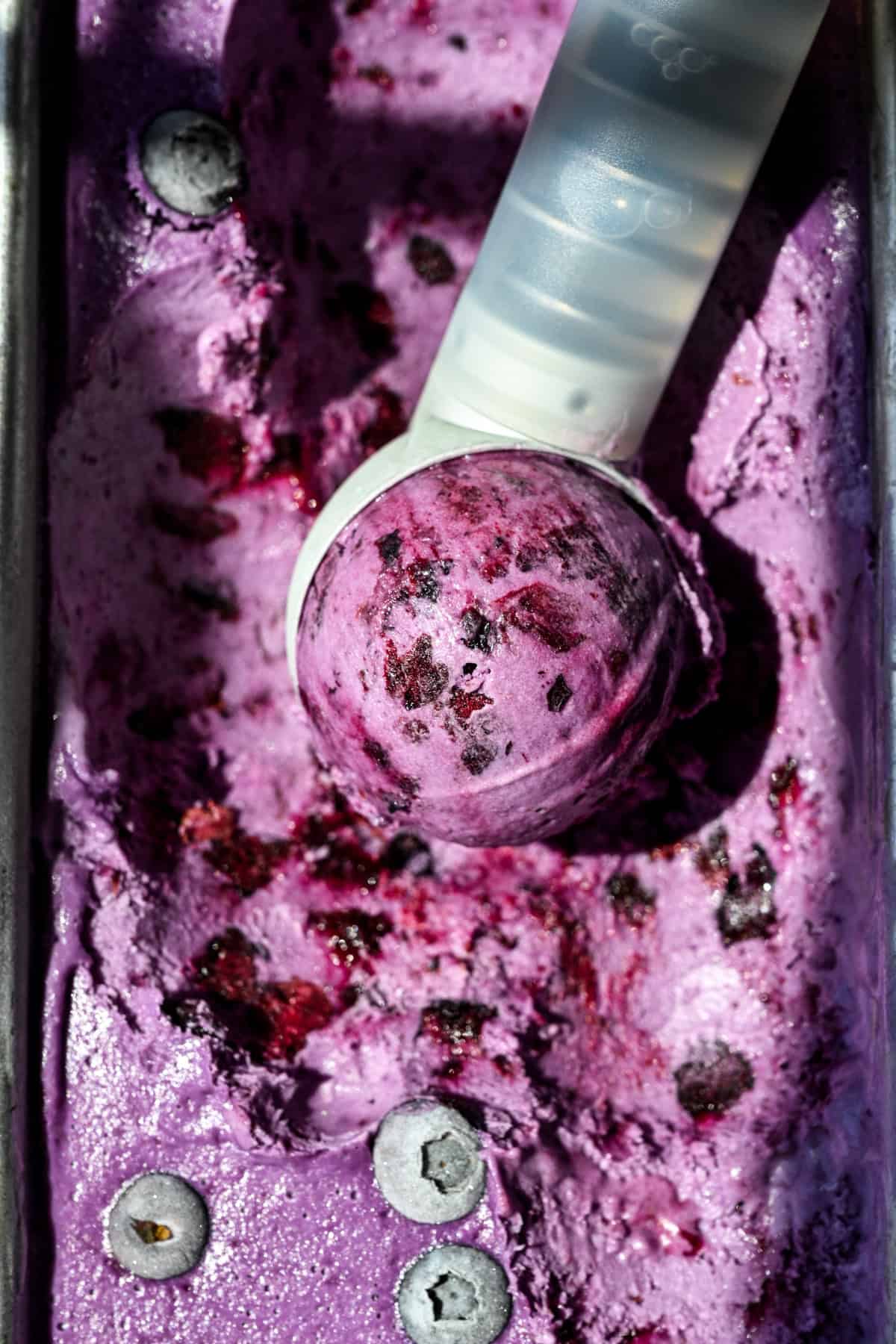 Dairy free blueberry lemon ice cream scooped with an ice cream scoop out of a loaf pan.