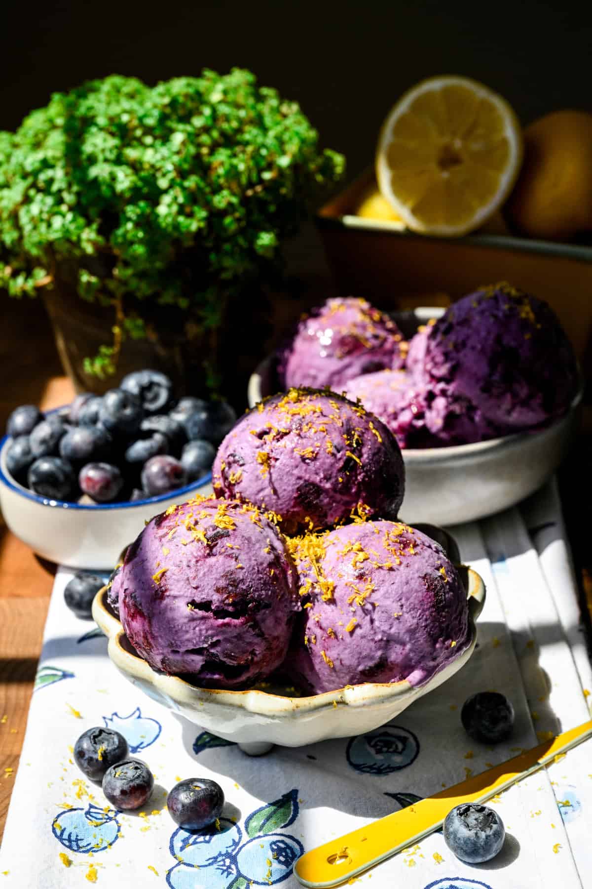 No churn blueberry lemon ice cream scooped in a small bowl.