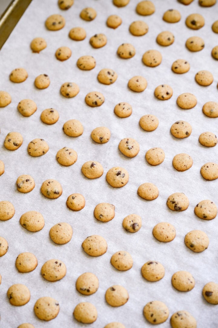 Cookie crisp cereal after baking.