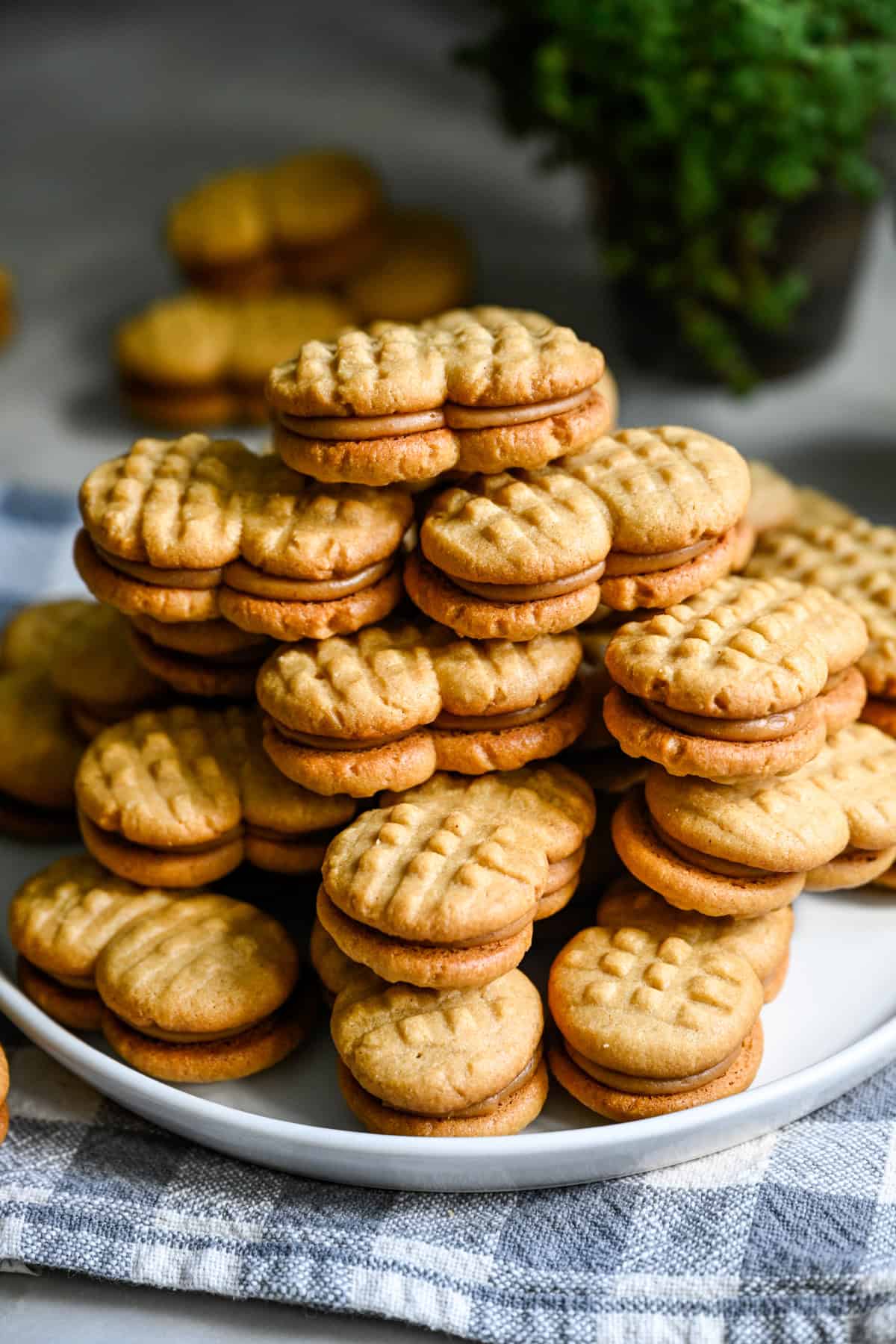 A big stack homemade nutter butters on a white plate.
