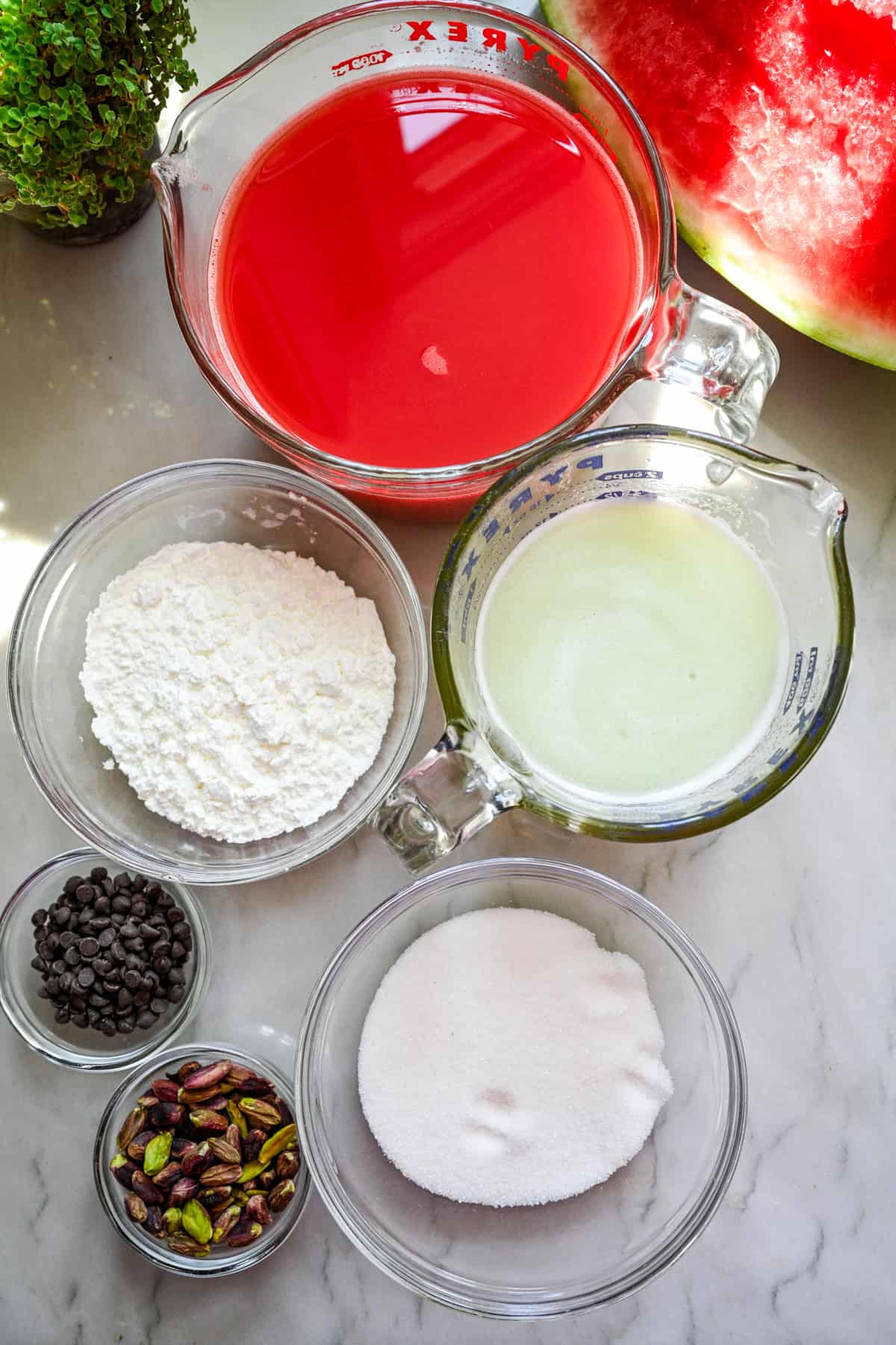 Overhead view of watermelon pudding ingredients.