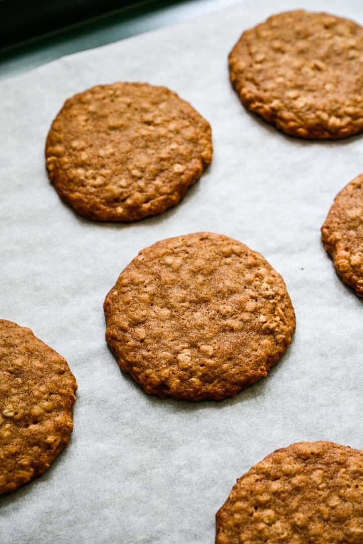 Oatmeal cookies on a sheet pan after baking.
