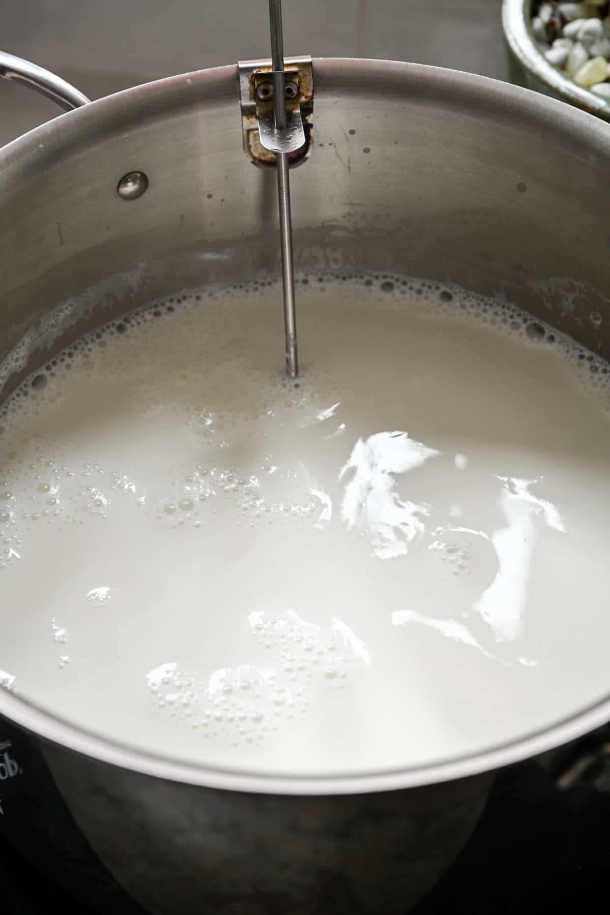 Homemade Cottage Cheese (4 Ingredients, 1 Hour) - Crowded Kitchen