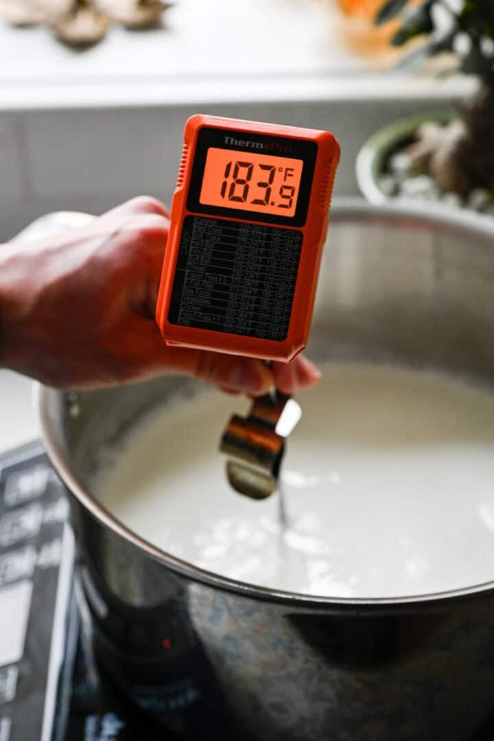 Hand holding a ThermoPro thermometer reading 183°F over a pot of heating milk