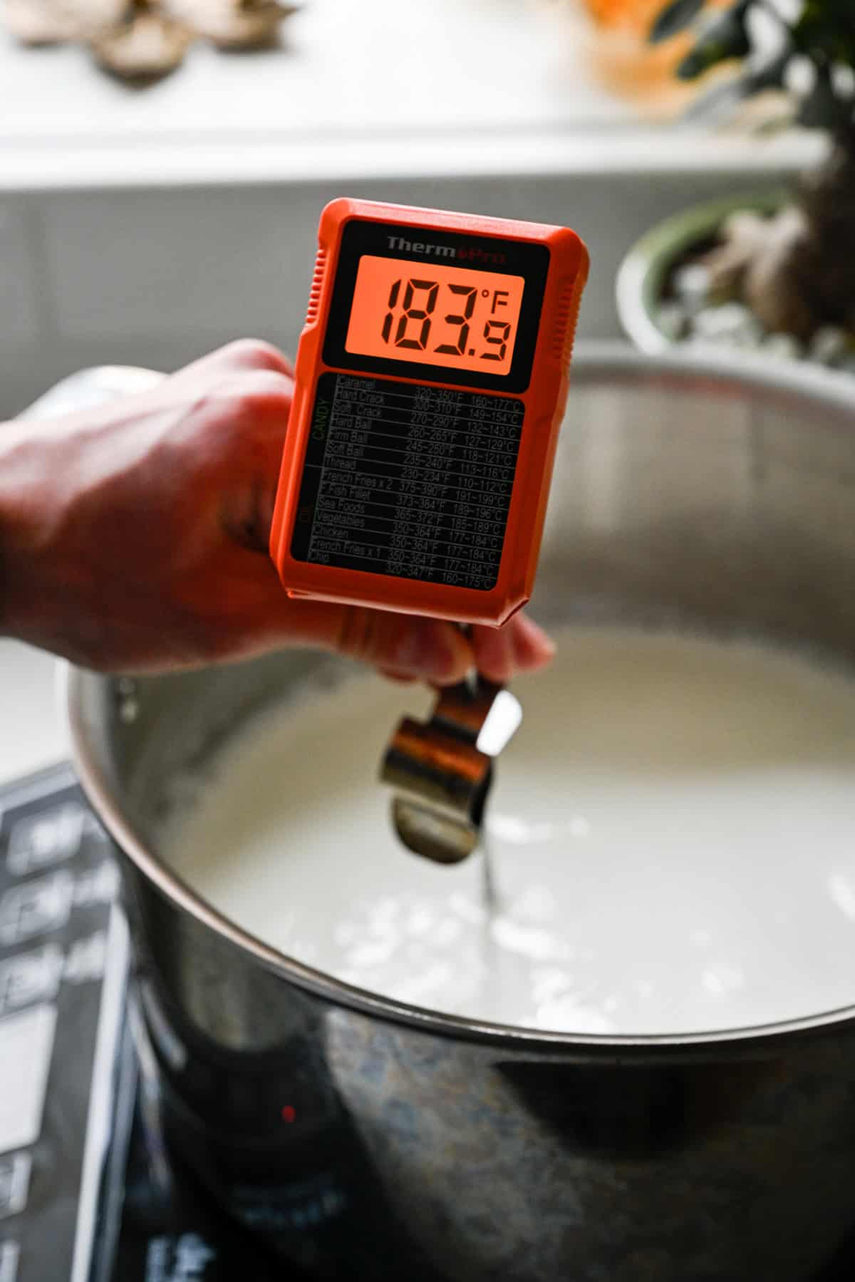 Homemade Cottage Cheese (4 Ingredients, 1 Hour) - Crowded Kitchen